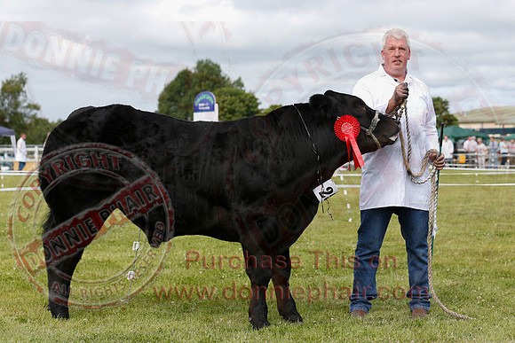 Omagh Show-1