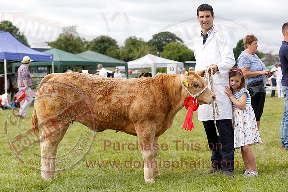 Omagh Show-3
