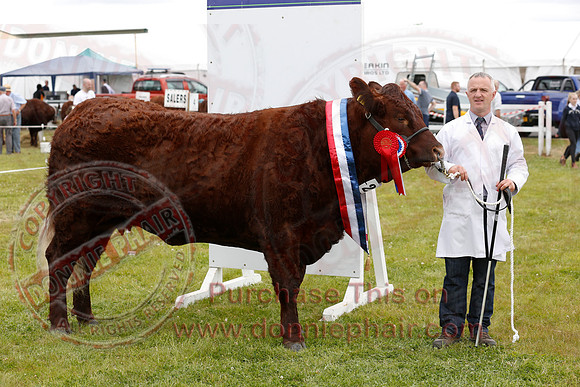 Omagh Show-6