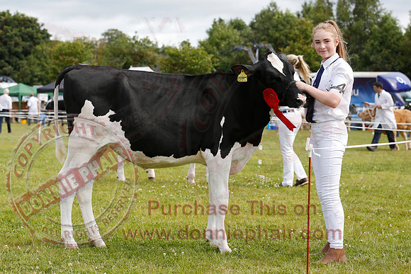 Omagh Show-2