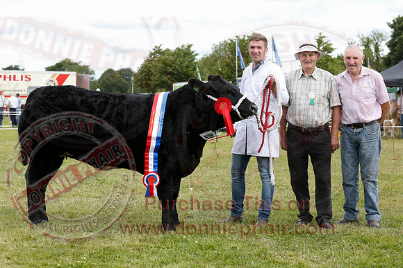 Omagh Show-4