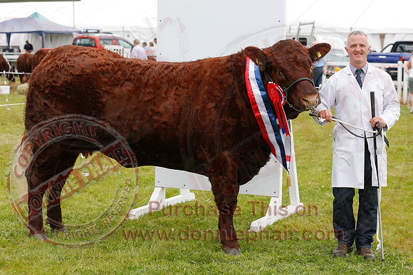 Omagh Show-5