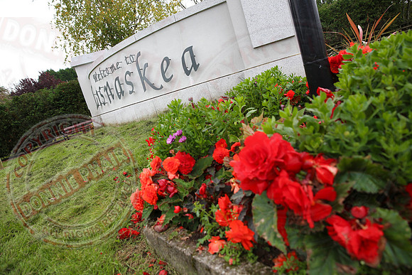 Entrance to Lisnaskea - Newtownbutler Side.
