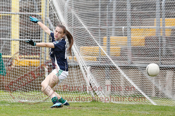 Meath (11-24) V Fermanagh (2-06) in All-Ireland Intermediate Championship-20