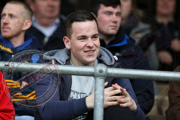 Fermanagh (4-10) V Roscommon (3-17) in Allianz National Football League Division 3.