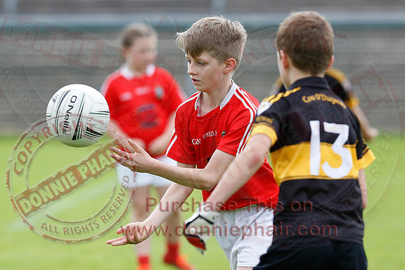 GAA Blitz at Brewster Park, Enniskillen-11