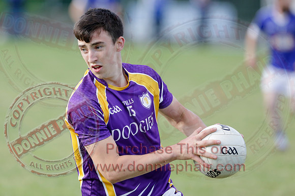 Derrygonnelly (4-17) V Kinawley (0-09) in Senior GAA Football League Division One-7