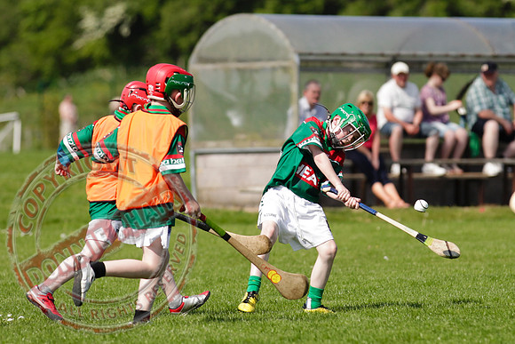 Opening of Lisnaskea GAA Emmetts Second Field - Youth Hurley.