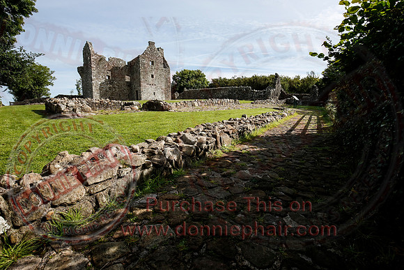 Tully Castle Fun Day-7