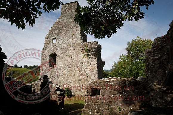 Tully Castle Fun Day-15