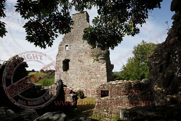 Tully Castle Fun Day-16