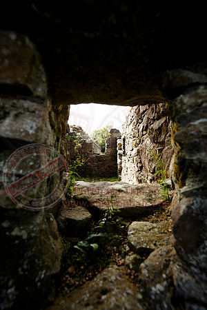 Tully Castle Fun Day-17