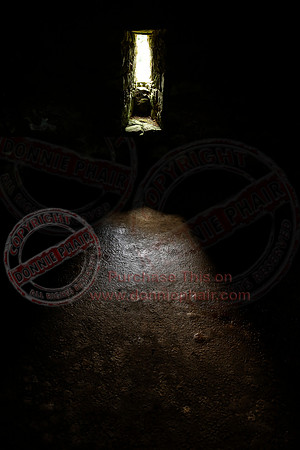 Tully Castle Fun Day-20