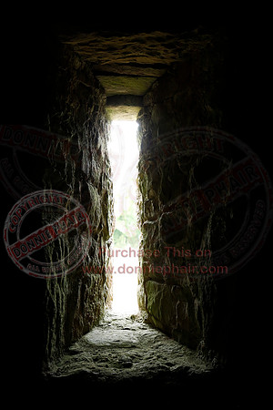 Tully Castle Fun Day-24