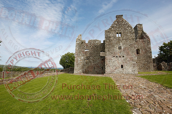 Tully Castle Fun Day-26