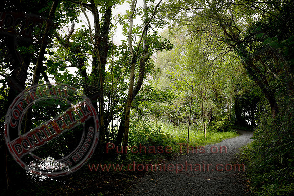 Tully Castle Fun Day-31
