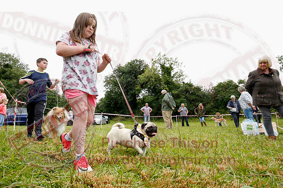 Tully Castle Fun Day-43