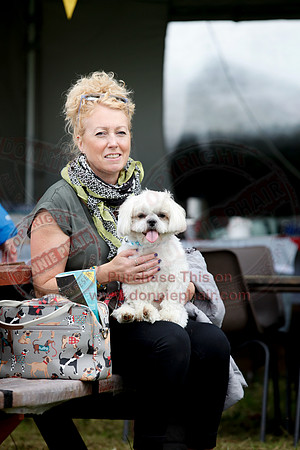 Tully Castle Fun Day-42