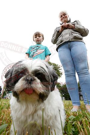 Tully Castle Fun Day-44