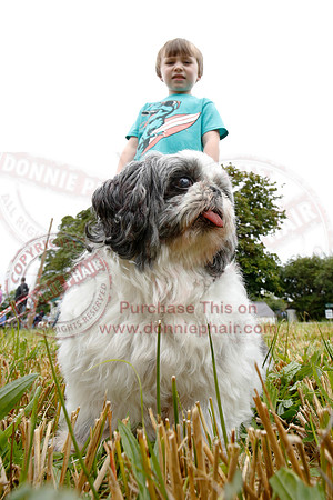 Tully Castle Fun Day-45