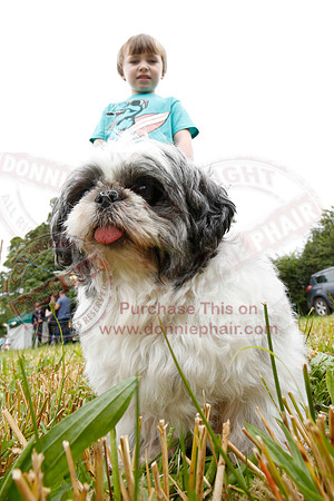 Tully Castle Fun Day-46