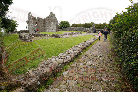 Tully Castle Fun Day-56