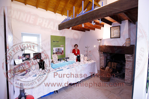 Tully Castle Fun Day-61