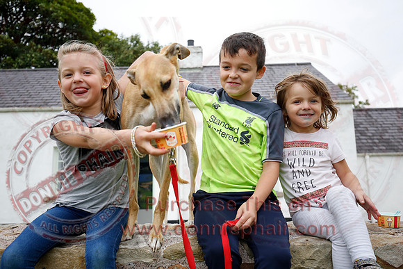 Tully Castle Fun Day-68