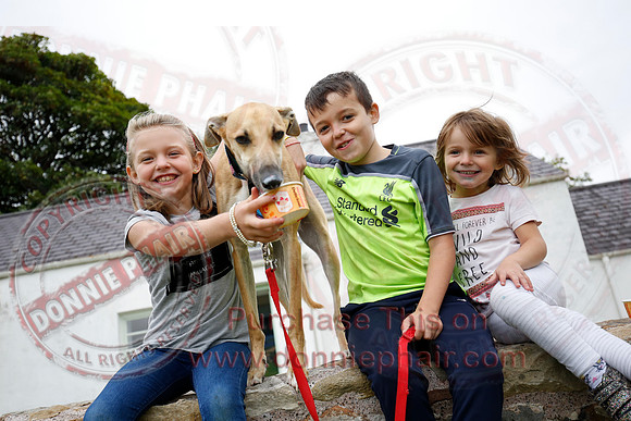 Tully Castle Fun Day-69