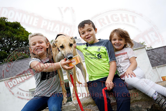Tully Castle Fun Day-70