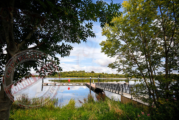 View from Galloon Island.