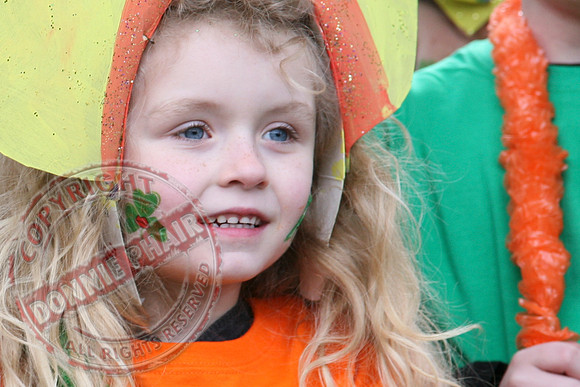 St. Patrick's Day Parade in Newtownbutler.