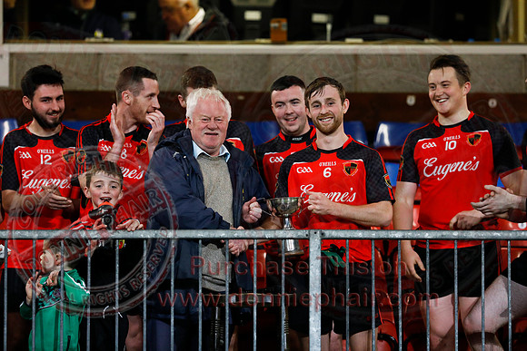 Maguiresbridge (5-10) V Derrylin (0-11) in Senior GAA Football League Division Three Final-29