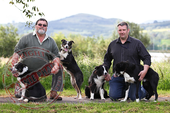 Sheepdog Trials in Belcoo.