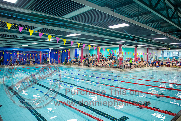 Swimming Gala at Lakeland Forum -1