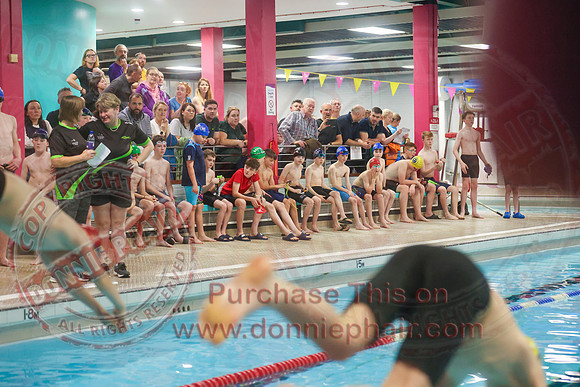 Swimming Gala at Lakeland Forum -2