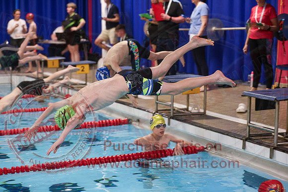 Swimming Gala at Lakeland Forum -4