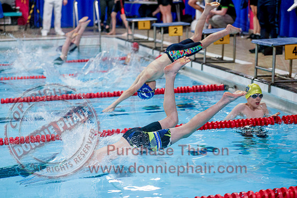 Swimming Gala at Lakeland Forum -5