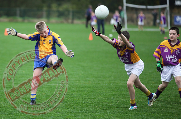 Enniskillen V Derrygonnelly in U12 GAA Football Final.