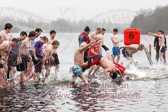 Galloon Island Charity Swim on New Years Day.