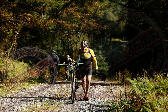 Gravel Grinder 2021-501