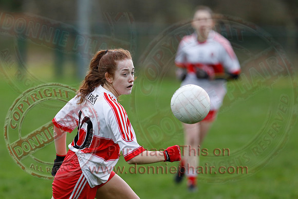 Fermanagh (2-13) V Derry (1-05) in Ladies National GAA Football League Division Four-5