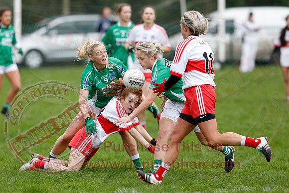 Fermanagh (2-13) V Derry (1-05) in Ladies National GAA Football League Division Four-14