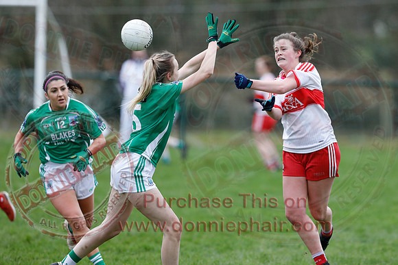 Fermanagh (2-13) V Derry (1-05) in Ladies National GAA Football League Division Four-18