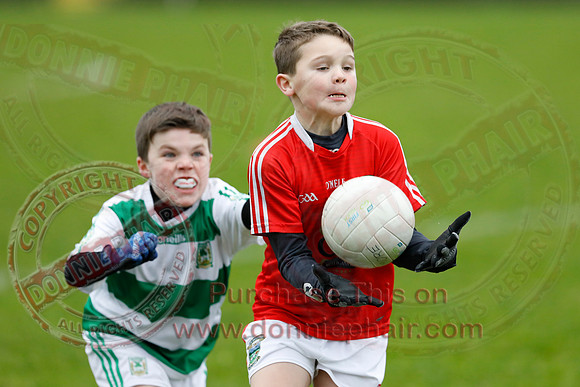 Fermanagh (0-12) V Cavan (0-09) in National GAA Football League Division Two-62