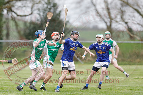 Fermanagh (1-14) V Cavan (0-05) in National Hurling League Division 3B-10