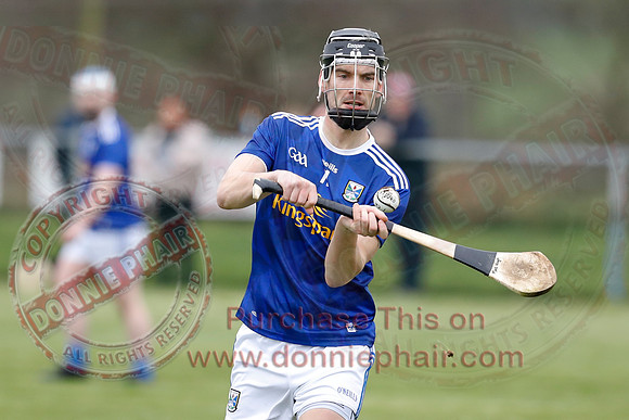 Fermanagh (1-14) V Cavan (0-05) in National Hurling League Division 3B-12