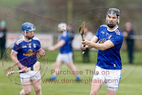 Fermanagh (1-14) V Cavan (0-05) in National Hurling League Division 3B-13