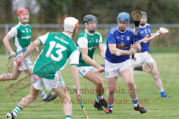 Fermanagh (1-14) V Cavan (0-05) in National Hurling League Division 3B-15