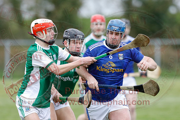 Fermanagh (1-14) V Cavan (0-05) in National Hurling League Division 3B-17